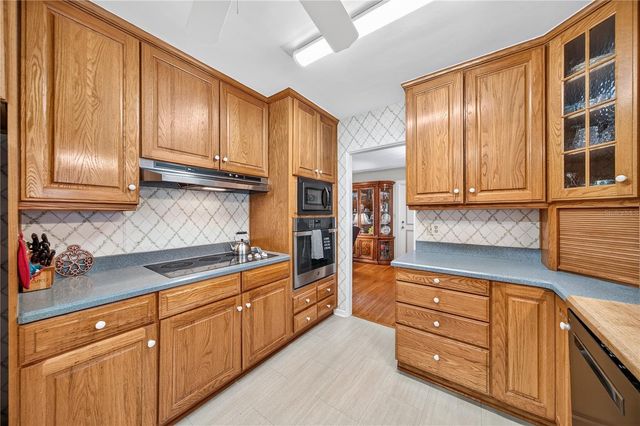 1205 DORCHESTER STREET, Orlando, FL 32803