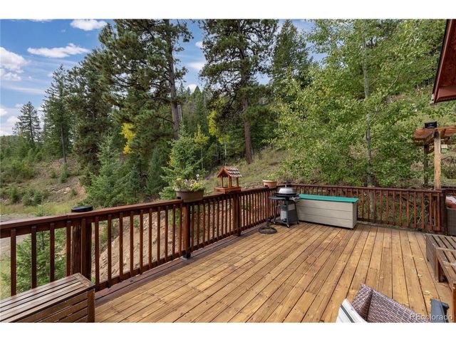 32209 Blue Springs Dr, Evergreen, CO 80439