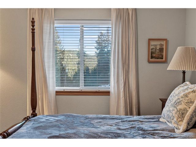 32209 Blue Springs Dr, Evergreen, CO 80439