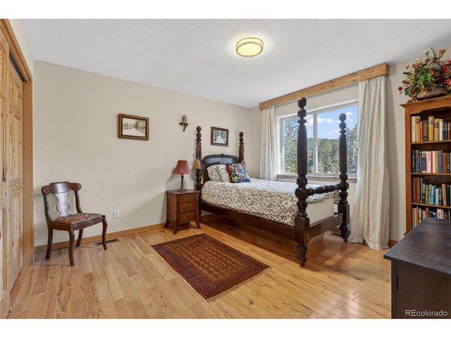 32209 Blue Springs Dr, Evergreen, CO 80439