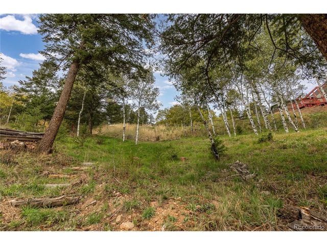 32209 Blue Springs Dr, Evergreen, CO 80439