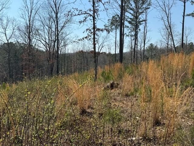 Lot 339 Timber Creek Trail, Talking Rock, GA 30175