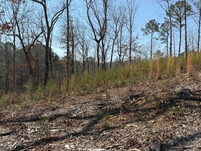 Lot 339 Timber Creek Trail, Talking Rock, GA 30175