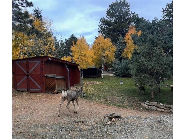 280 Bunny Rd, Bailey, CO 80421