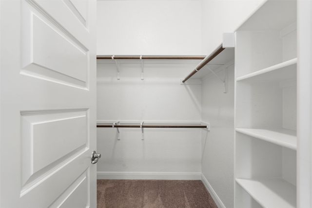 2439 Soprano WAY, Round Rock, TX 78681