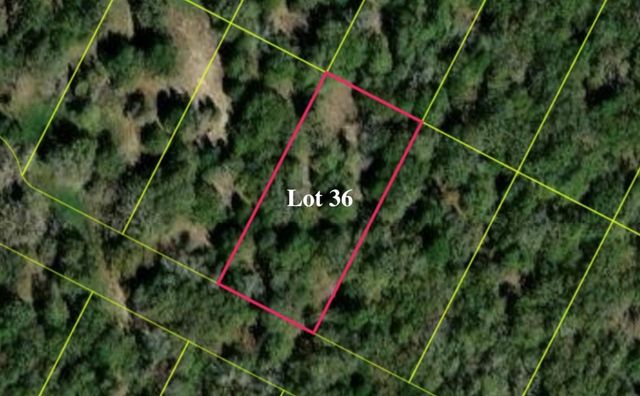 136 Las Alturas DR, Elgin, TX 78621