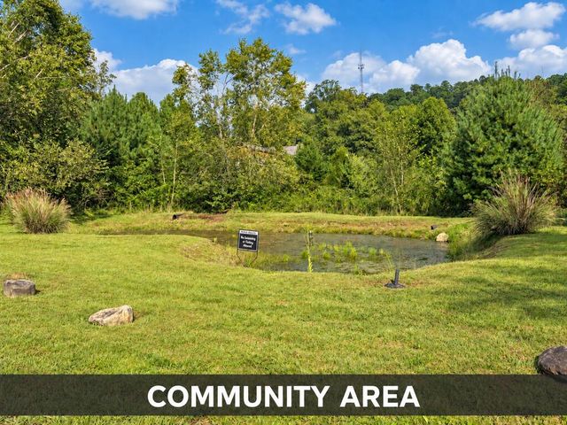 Lot 6 Mountain Brooks Road, Blue Ridge, GA 30513