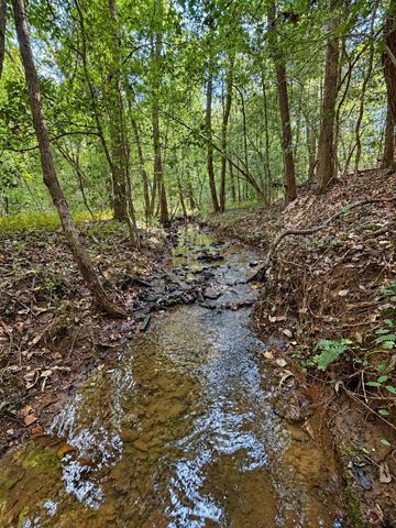 Lot 6 Mountain Brooks Road, Blue Ridge, GA 30513