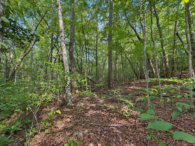 Lot 6 Mountain Brooks Road, Blue Ridge, GA 30513