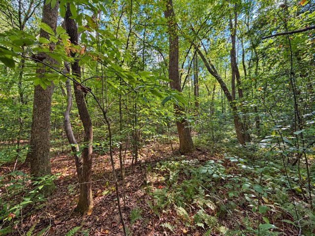 Lot 6 Mountain Brooks Road, Blue Ridge, GA 30513