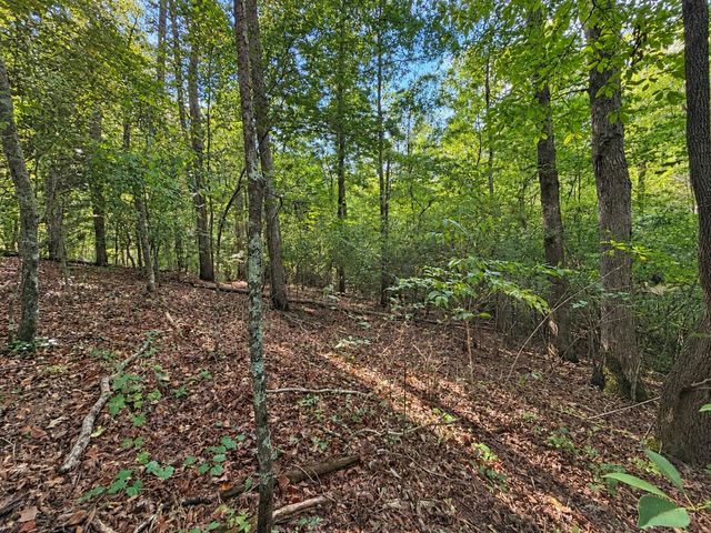 Lot 6 Mountain Brooks Road, Blue Ridge, GA 30513