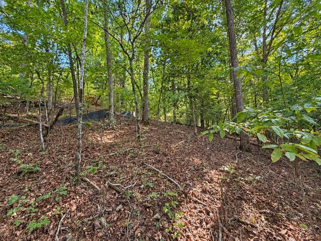 Lot 6 Mountain Brooks Road, Blue Ridge, GA 30513
