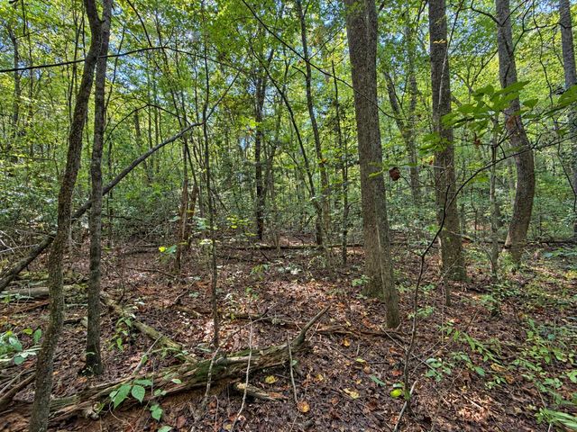 Lot 6 Mountain Brooks Road, Blue Ridge, GA 30513