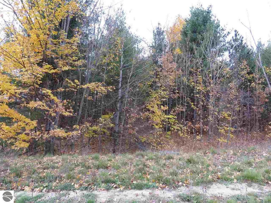 Image 4 of property listing at Lot 71 Rawlings Place, Kingsley, MI 49649