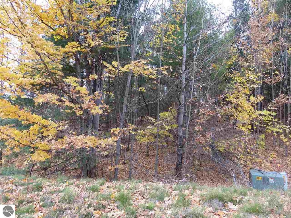 Image 5 of property listing at Lot 71 Rawlings Place, Kingsley, MI 49649