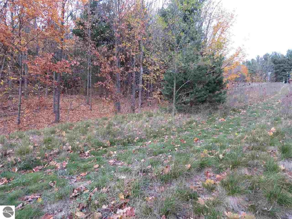 Image 6 of property listing at Lot 71 Rawlings Place, Kingsley, MI 49649