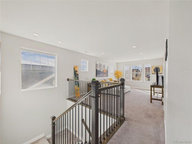 16031 Azalea Ave, Parker, CO 80134