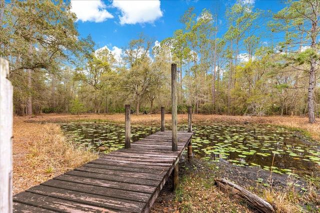 6750 NE 137TH PLACE, Citra, FL 32113