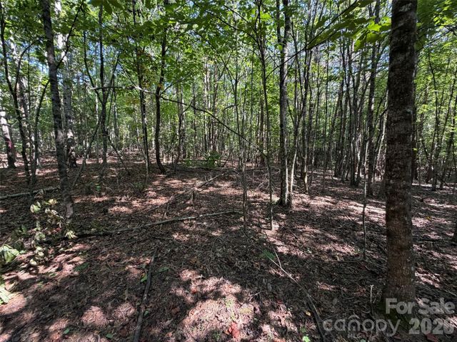 472 Southern Way, Nebo, NC 28761