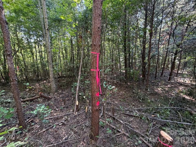472 Southern Way, Nebo, NC 28761