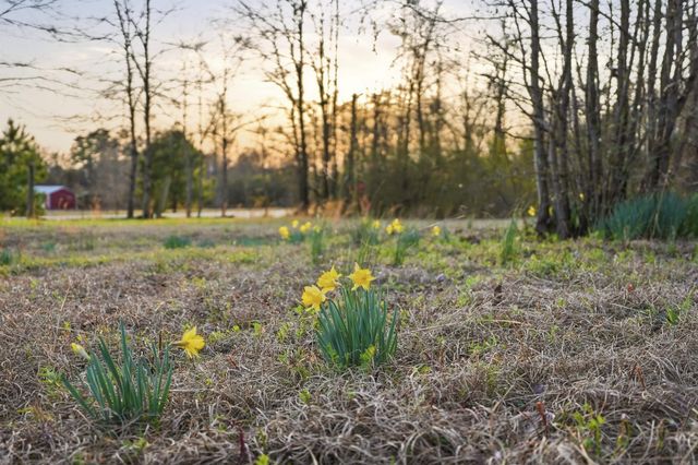 464 Fleetwood Drive, Hot Springs, AR 71913