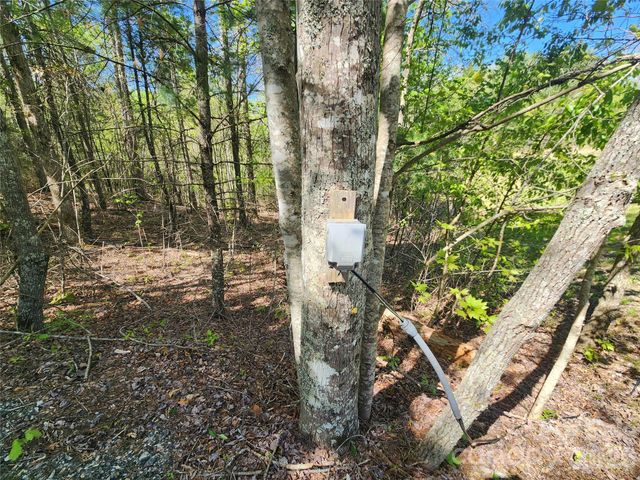 889 Firefly Trail, Marshall, NC 28753