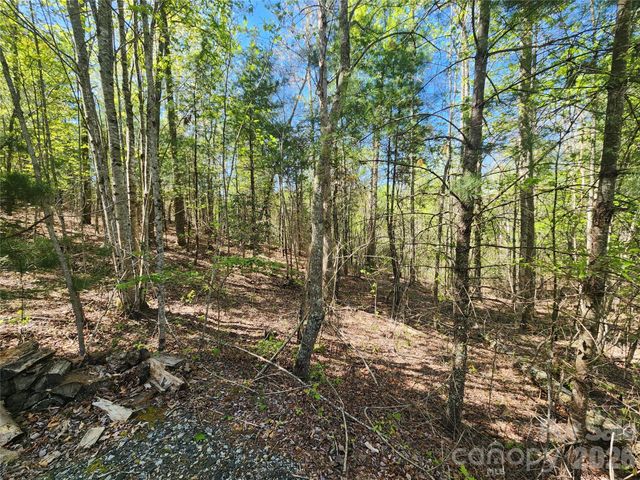 889 Firefly Trail, Marshall, NC 28753