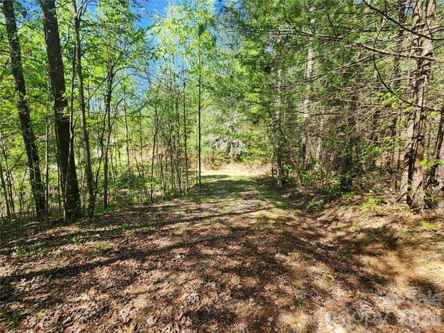 889 Firefly Trail, Marshall, NC 28753