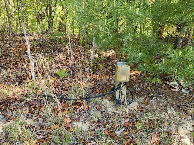 889 Firefly Trail, Marshall, NC 28753