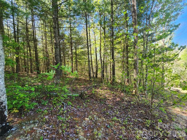 889 Firefly Trail, Marshall, NC 28753