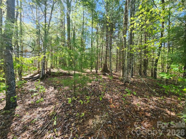 889 Firefly Trail, Marshall, NC 28753
