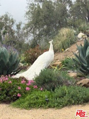 23255 W Paloma Blanca Drive, Malibu, CA 90265