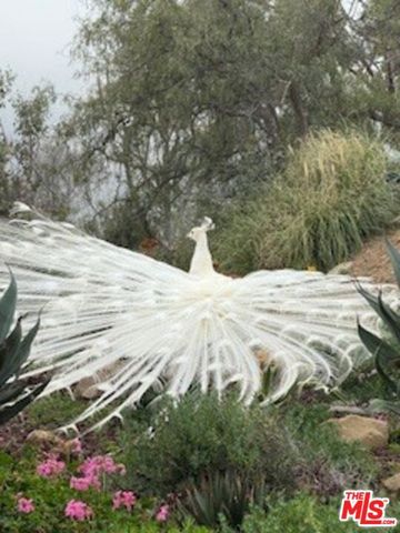 23255 W Paloma Blanca Drive, Malibu, CA 90265