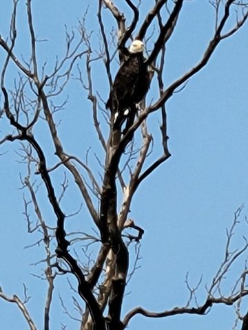 80 Bay Shore Dr, Plymouth, MA 02360