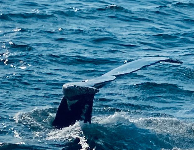 80 Bay Shore Dr, Plymouth, MA 02360