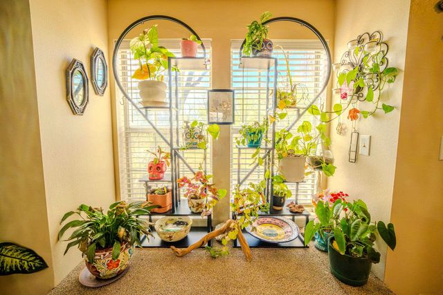 3271 W Willow Court, Clifton, CO 81520