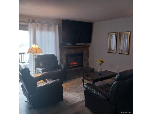 250 Cove Blvd 3, Dillon, CO 80435