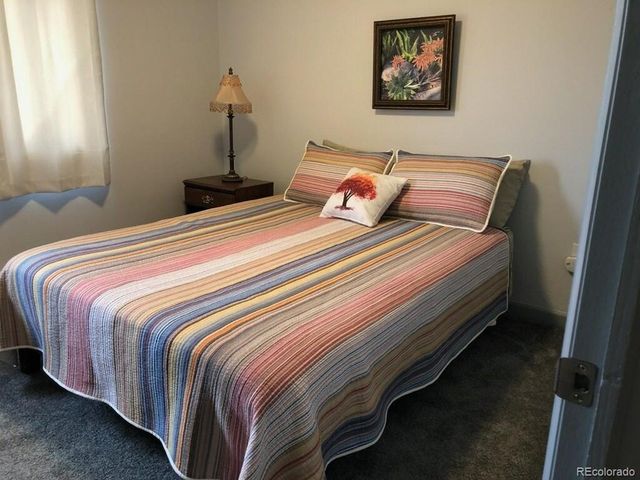 250 Cove Blvd 3, Dillon, CO 80435