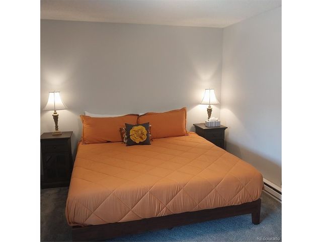 250 Cove Blvd 3, Dillon, CO 80435