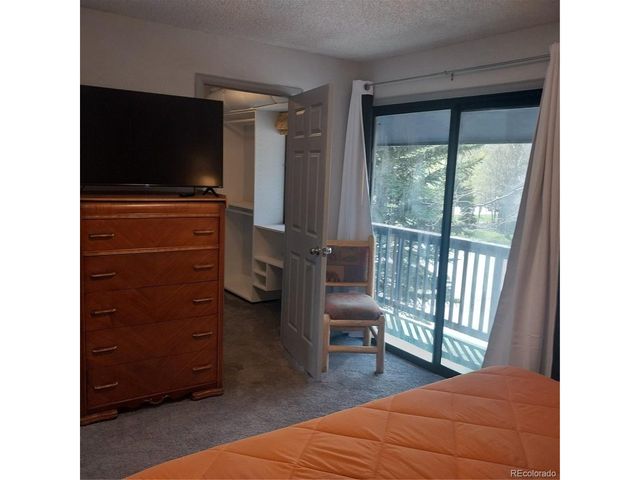 250 Cove Blvd 3, Dillon, CO 80435