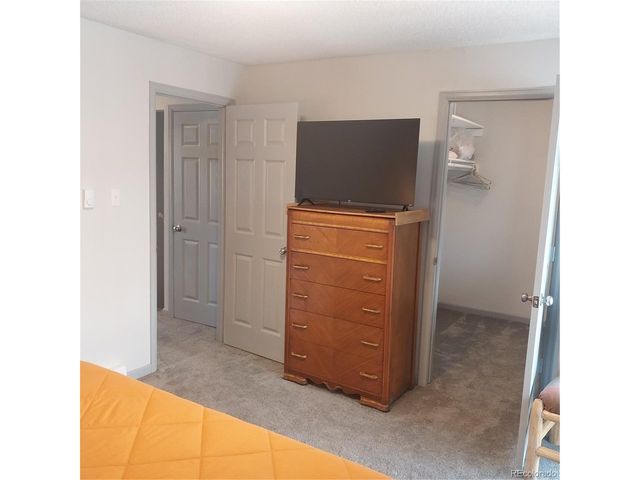 250 Cove Blvd 3, Dillon, CO 80435
