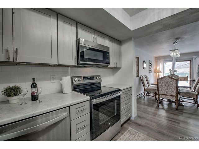250 Cove Blvd 3, Dillon, CO 80435