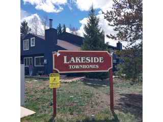 250 Cove Blvd 3, Dillon, CO 80435