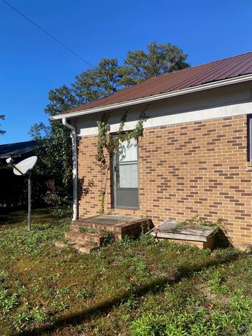 65 Mathews Street, Fort Valley, GA 31030