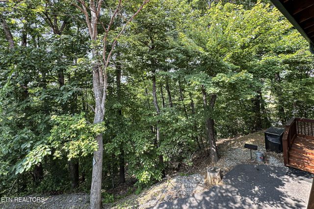 3529 Peggy Lane, Pigeon Forge, TN 37863