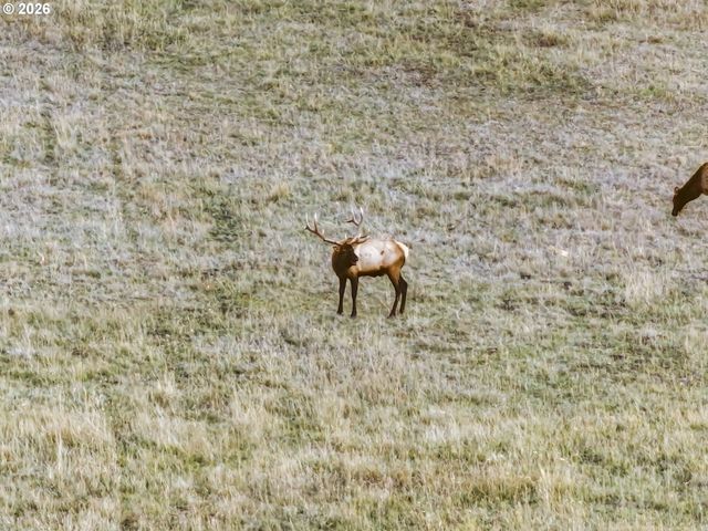 83584 TROY Rd, Wallowa, OR 97885