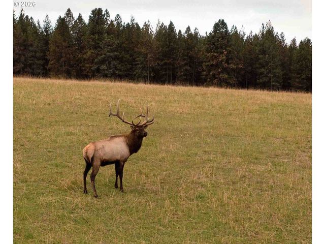 83584 TROY Rd, Wallowa, OR 97885