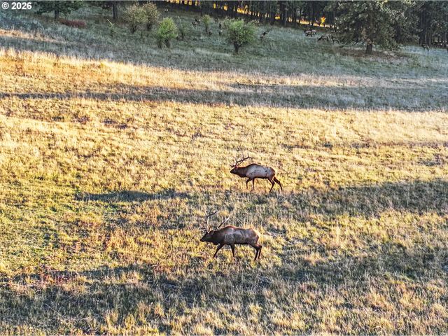 83584 TROY Rd, Wallowa, OR 97885