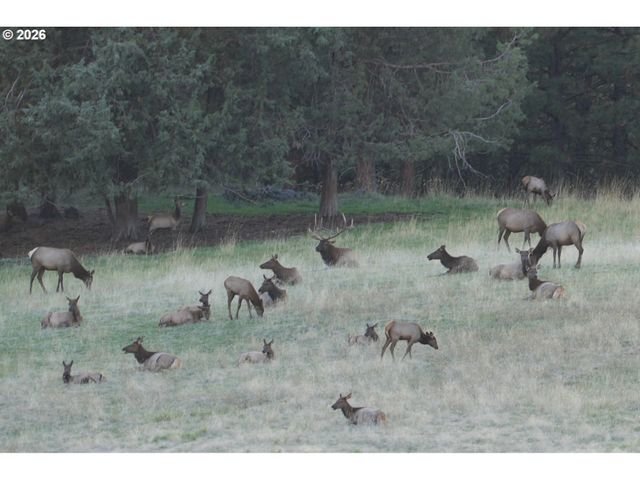 83584 TROY Rd, Wallowa, OR 97885