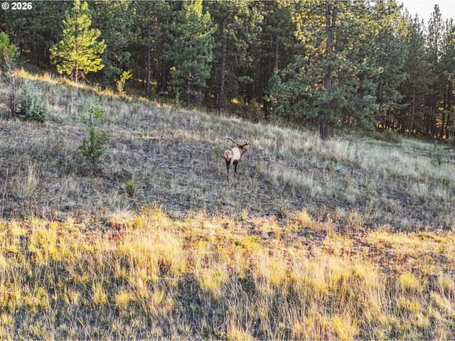 83584 TROY Rd, Wallowa, OR 97885